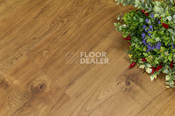 Кварцвиниловые полы FineFloor FF-1500 Wood FF-1569 Дуб Клен Верден фото 1 | FLOORDEALER
